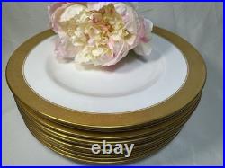 (10) Royal Crown Derby'St. George' 10.5 Inch DINNER PLATES