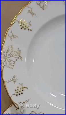(12) Royal Crown Derby''vine-gold'' Dinner Plates 10 1/4 Gorgeous England