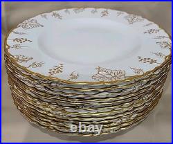 (12) Royal Crown Derby''vine-gold'' Dinner Plates 10 1/4 Gorgeous England