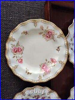 14Pieces set ROYAL CROWN DERBY ROYAL ANTOINETTE CUP AND SAUCER Dinner Plate