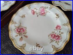 14Pieces set ROYAL CROWN DERBY ROYAL ANTOINETTE CUP AND SAUCER Dinner Plate