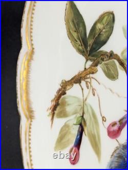 1882 Royal Crown Derby Peacock Plate Plate With Flowers & Gold Detail 9 1/4