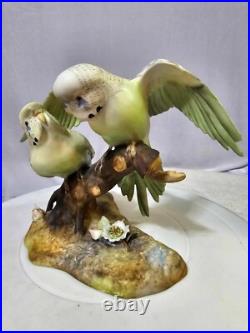 1940's royal crown derby parakeets Budgerigar birds on a branch w Flowers- READ