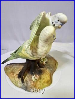 1940's royal crown derby parakeets Budgerigar birds on a branch w Flowers- READ