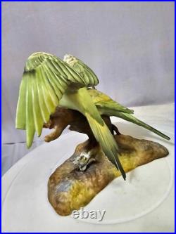 1940's royal crown derby parakeets Budgerigar birds on a branch w Flowers- READ