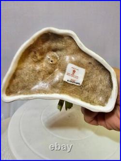 1940's royal crown derby parakeets Budgerigar birds on a branch w Flowers- READ