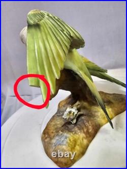 1940's royal crown derby parakeets Budgerigar birds on a branch w Flowers- READ