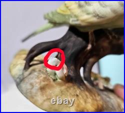 1940's royal crown derby parakeets Budgerigar birds on a branch w Flowers- READ