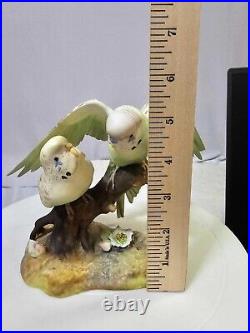 1940's royal crown derby parakeets Budgerigar birds on a branch w Flowers- READ