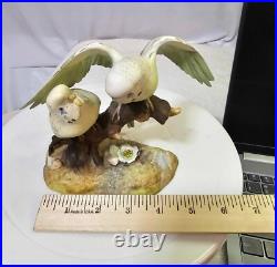 1940's royal crown derby parakeets Budgerigar birds on a branch w Flowers- READ