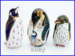 3 Royal Crown Derby Penguin Paperweights