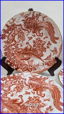6 Royal Crown Derby Old RED AVES 9-1/8 Luncheon Plates 1958