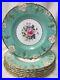 7-Royal-Crown-Derby-Celadon-withCenter-Bouquet-Vine-10-25-Inch-DINNER-PLATEs-01-ry