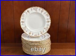 96 pcs Royal Crown Derby Vine bone china dinner service, Serve 12-16, excellen