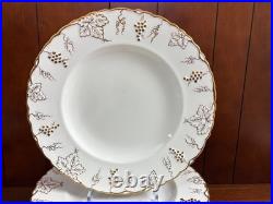 96 pcs Royal Crown Derby Vine bone china dinner service, Serve 12-16, excellen