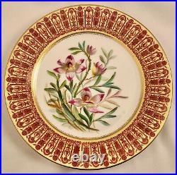 Antique Crown Derby Cabinet Plate, Botanical, Orchids (B)