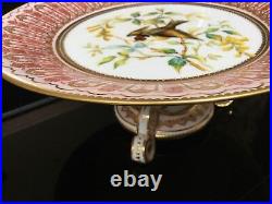 Antique Crown Derby Comport Hand Painted Goldfinch Raised Gold Dots C1888