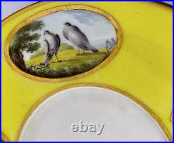 Antique Rare Royal Crown Derby Hand Painted Porcelain Saucer