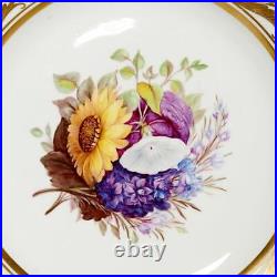 Antique Royal Crown Derby Hand Painted Botanical Flowers Gilt Porcelain Plate B