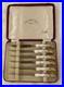 Antique-Royal-Crown-Derby-LeWitt-Set-of-6-Knives-7-Hard-Case-01-ybe