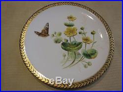 Antique Royal Crown Derby Porcelain Plate Plates Set Of 3 Butterflies Ca 1877