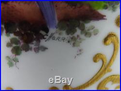 Antique Royal Crown Derby Vase Exotic Bird And Floral Spray Signed C Harris