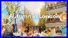 Autumn-In-London-Vintage-Market-Lunch-At-A-Book-Caf-Walk-Among-The-Leaves-Latest-Vintage-Finds-01-ojei