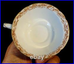 Beautiful Royal Crown Derby Olde Avesbury Tea Cup And Saucer