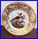 Early-Derby-Cabinet-Plate-c1800-Bright-Colour-Birds-Painted-by-Richard-Dodson-01-qhh