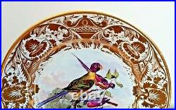Early Derby Cabinet Plate c1800 Bright Colour Birds Painted by Richard Dodson