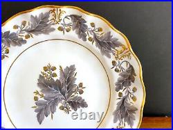 Exquisite Royal Crown Derby Portman Oak Salad plates, set 8, Gold accent, 8 3/4'