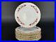 Full-Set-of-12-Royal-Crown-Derby-CHATSWORTH-Bone-China-8-3-8-Salad-Plates-01-iu