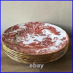 Lovely Royal Crown Derby Red Aves Set of 6 Salad Plates