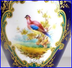 N829 Antique Royal Crown Derby Porcelain Vase Birds Signed By A. F Wood Cobalt