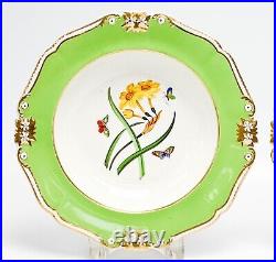 Pair Royal Crown Derby England Porcelain Botanical Deep Well Dinner Plates c1820
