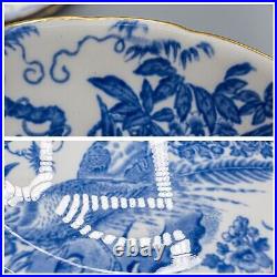 READ Royal Crown Derby Blue Aves Dinner Plates Set of 6- 10 5/8 FREE USA SHIP