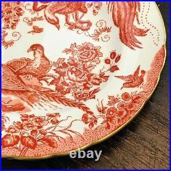RED AVES (Older) Royal Crown Derby Salad Plate 22K Gold England A74 Birds