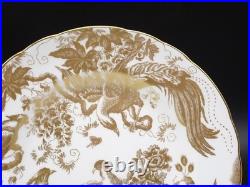 ROYAL CROWN DERBY Bone China GOLD AVES 8 1/2 Salad Plate NEW