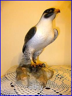 Royal Crown Derby Rare Falcon Signed N. Dudley (large)