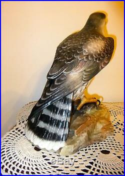 Royal Crown Derby Rare Falcon Signed N. Dudley (large)