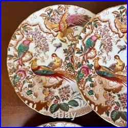 Rare Item Royal Crown Derby Old Abbey Dinner Plates Set of 6 26.6cm 1973 Mint