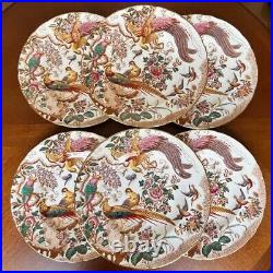 Rare Item Royal Crown Derby Old Abbey Dinner Plates Set of 6 26.6cm 1973 Mint