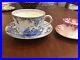 Rare-Royal-Crown-Derby-Blue-Aves-Jumbo-Cup-saucer-England-bone-china-oversized-01-vrrf