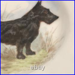 Rare Set 3 Royal Crown Derby DOG Demitasse Cups Saucers Artist Signed Stunning 4