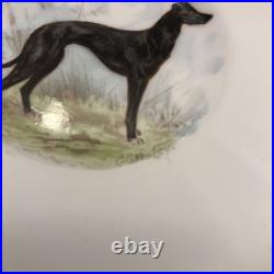 Rare Set 4 Royal Crown Derby DOG Demitasse Cups Saucers Artist Signed Stunning 3