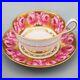 Royal-Chelsea-Heavy-Gold-Cabbage-Pink-Rose-Tea-Cup-Saucer-FREE-USA-SHIPPING-01-pbxn