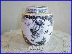 Royal Crown Derby 7 1/4 inch Black Aves Ginger Jar