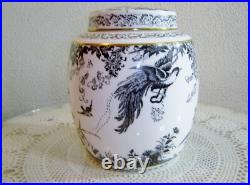 Royal Crown Derby 7 1/4 inch Black Aves Ginger Jar