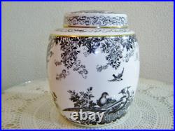 Royal Crown Derby 7 1/4 inch Black Aves Ginger Jar