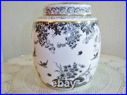 Royal Crown Derby 7 1/4 inch Black Aves Ginger Jar